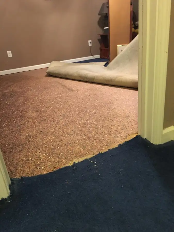 Carpet pad removal revealing water damage during Drying & Dehumidification in Champlain