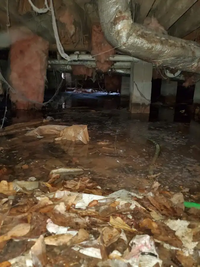 Crawl space flood assessment for Leak Detection & Repair in Champlain